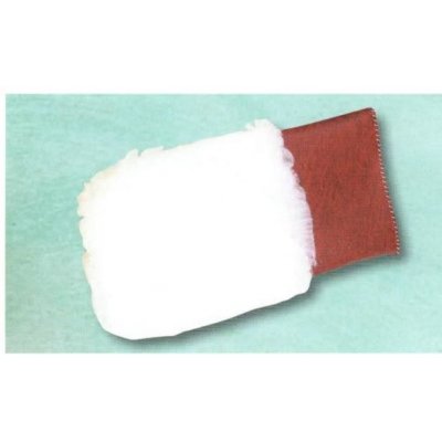 Guanto per lavaggio auto