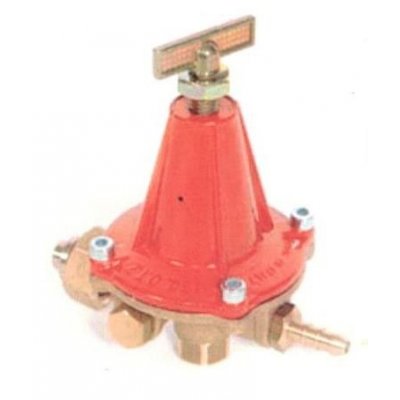 Regolatore gas alta pressione a taratura regolabile uscita portagomma MONDIAL