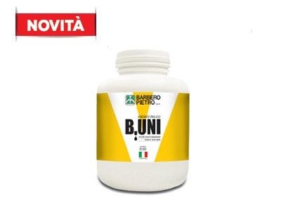 Colla vinilica universale Kg 1 B.UNI