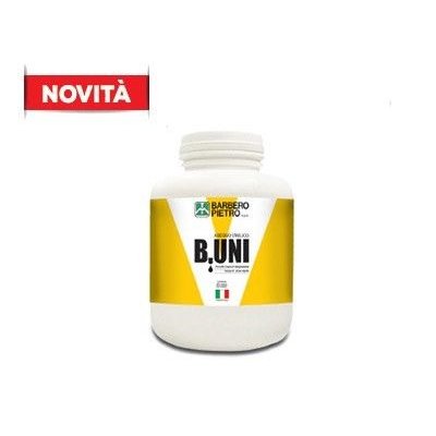 Colla vinilica universale Kg 1 B.UNI