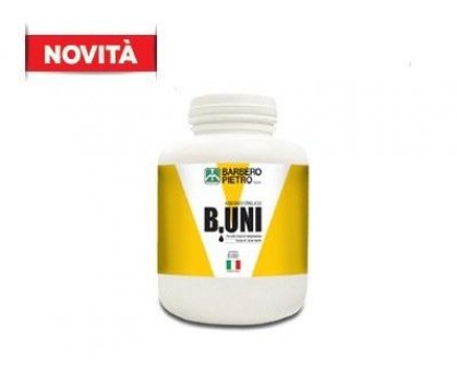 Colla vinilica universale Kg 1 B.UNI