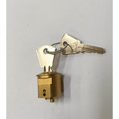 Cilindro ricambio per cariglione con 2 chiavi
