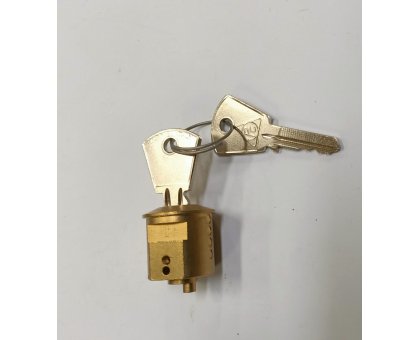 Cilindro ricambio per cariglione con 2 chiavi