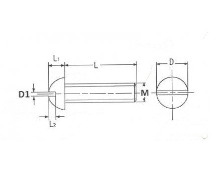 Vite testa bombata taglio cacciavite 5/32' x 12 mm Withworth