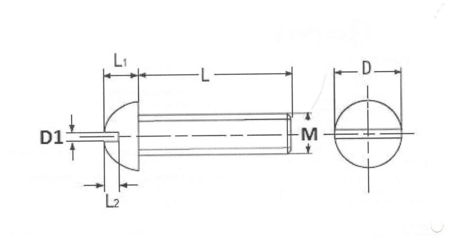 Vite testa bombata taglio cacciavite 1/4' x 25 mm Withworth