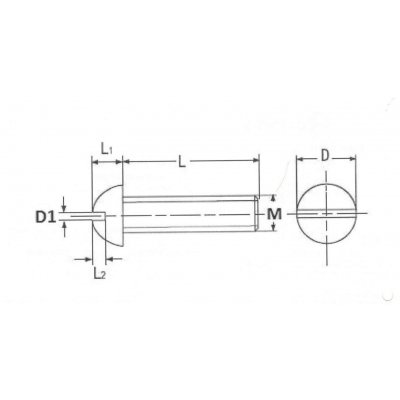 Vite testa bombata taglio cacciavite 3/8' x 50 mm Withworth