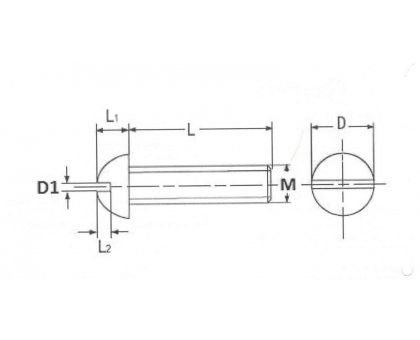 Vite testa bombata taglio cacciavite 6 x 15 mm