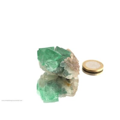 Fluorite - fase del collettore