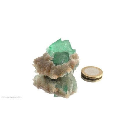 Fluorite - fase del collettore
