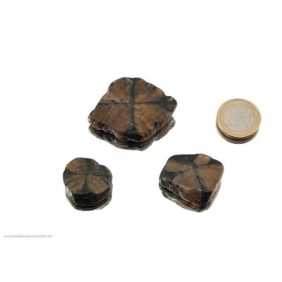 Chiastolite croce di pietra - 3 pezzi