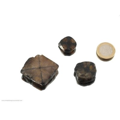 Chiastolite croce di pietra - 3 pezzi