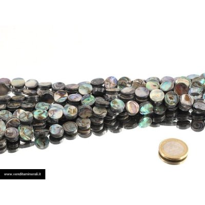 Filo di catene di conchiglie di Paua