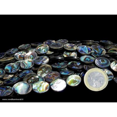 Filo di catene di conchiglie di Paua