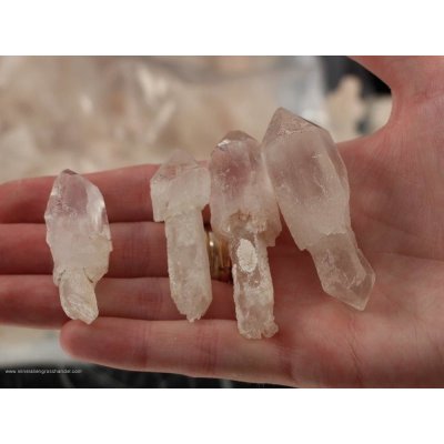 Lotto di scettro al quarzo