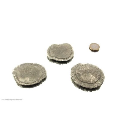 Sole di pirite - 1 pezzo