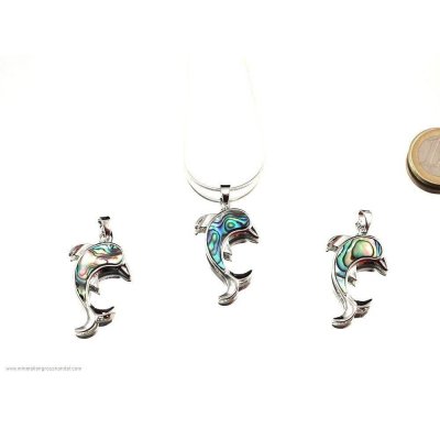 Trailer di delfino -conchiglia Abalone