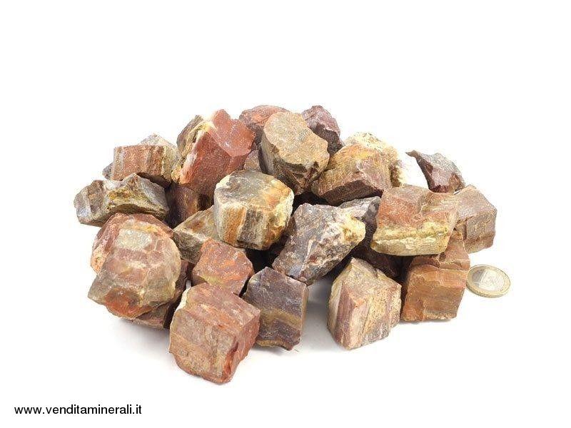 Legno pietrificato - piccole pietre grezze (2-5 cm) - 1 kg
