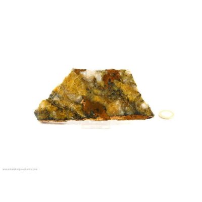 Sezione in nichel lucido