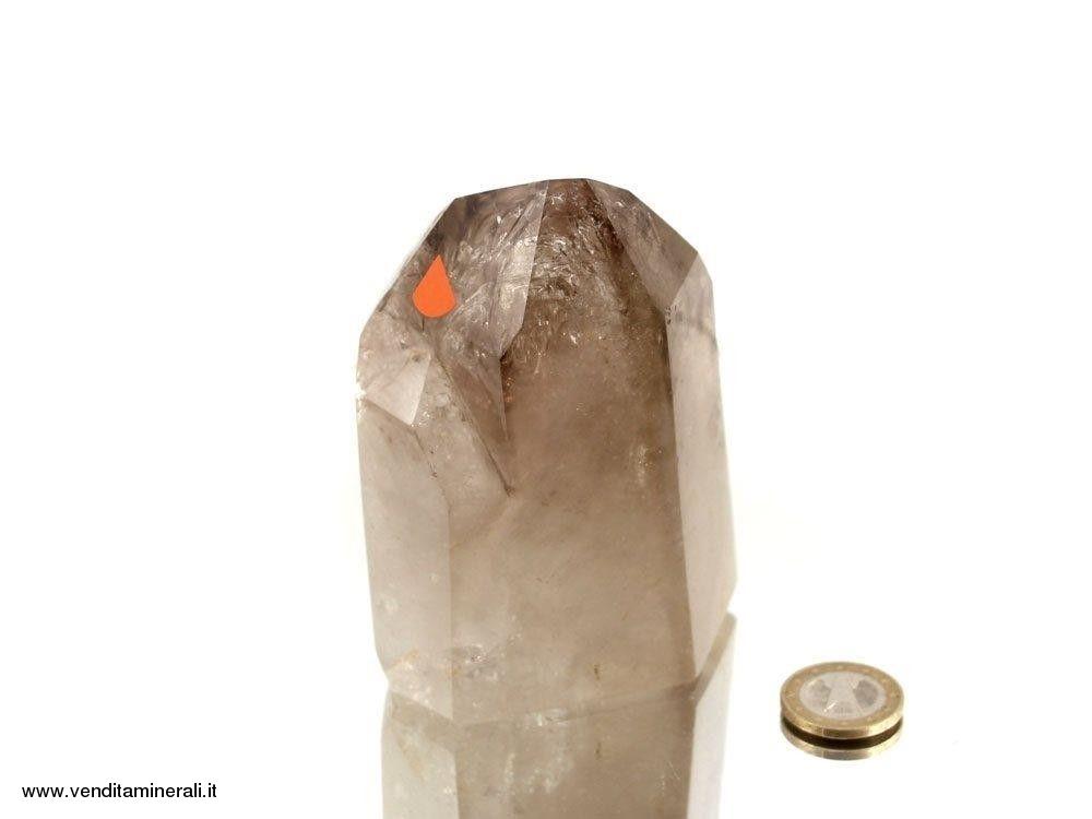 Libellula in cristallo di rocca