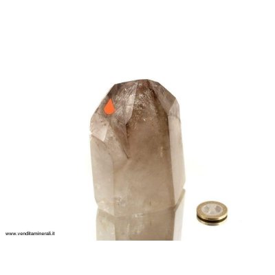 Libellula in cristallo di rocca