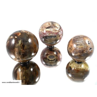 Palline di legno pietrificato - 1 kg