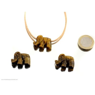 Trailer di occhio di tigre e di elefante