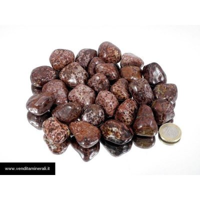 Diaspro leopardato - TS 0,5 kg