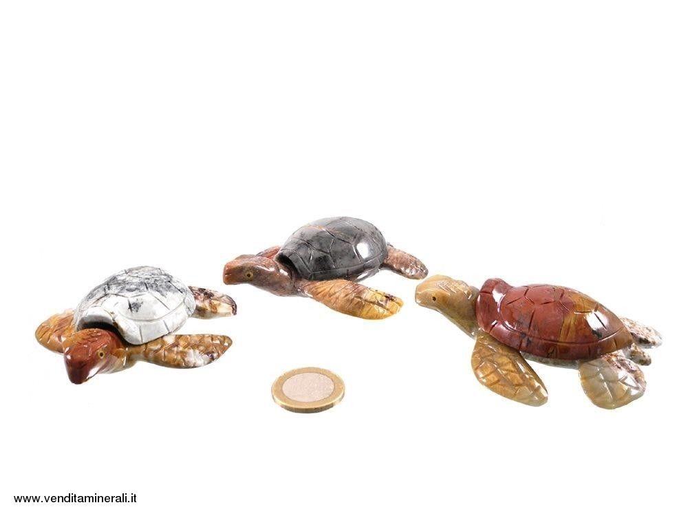 Marmo andino a tartaruga