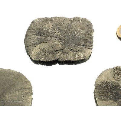 Soli di pirite - 1 pezzo