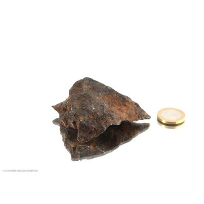 Meteorite Gibeon