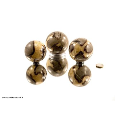 Palline Septaria 1 kg