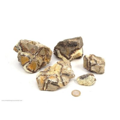 Pietre ruvide di Septaria - 1 kg