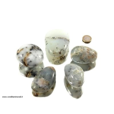 Agata con depositi di tipo dendritico Pebbles / XL burrattato - 0,5 kg