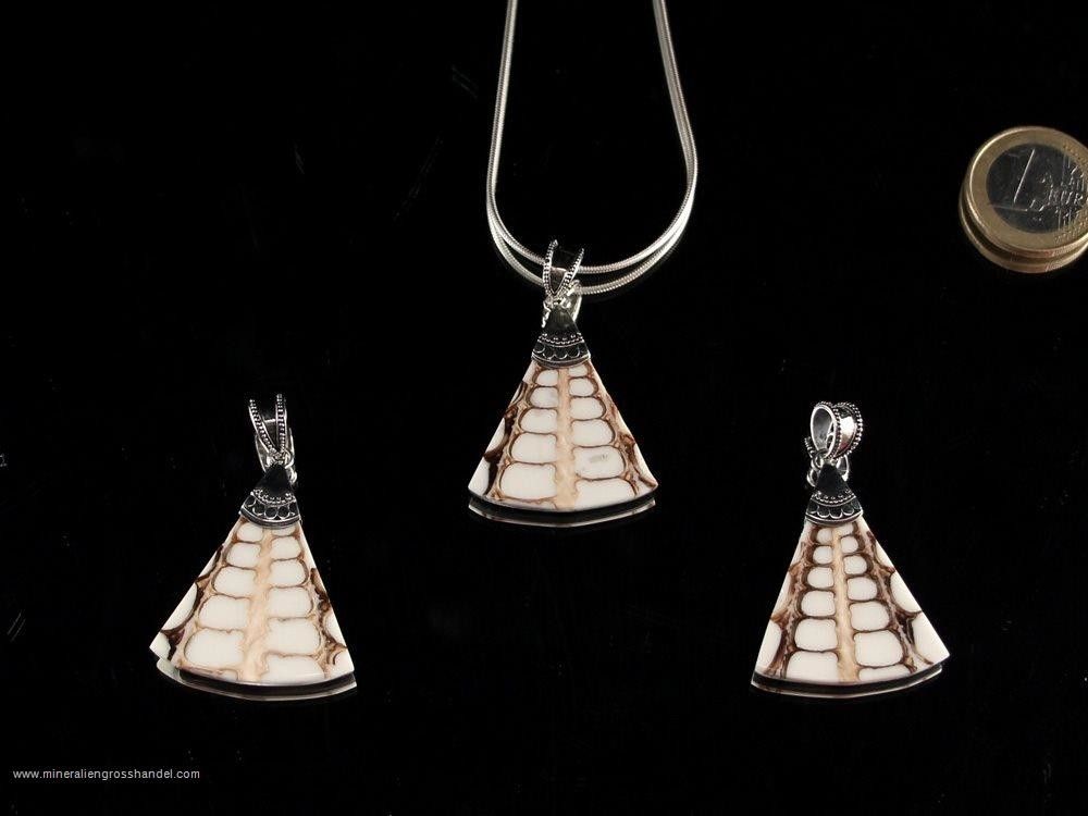 Triangolo di conchiglia