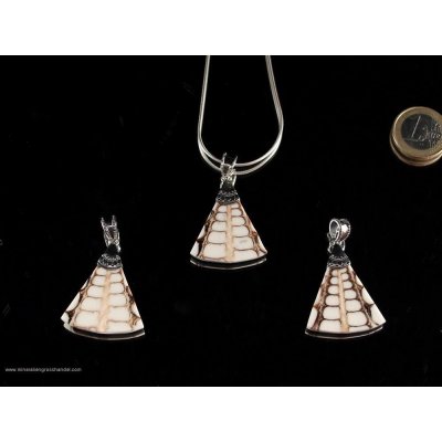 Triangolo di conchiglia