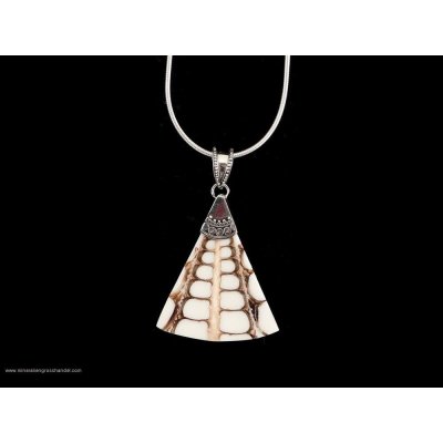 Triangolo di conchiglia