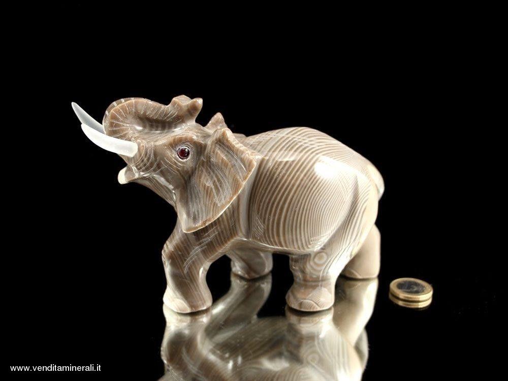 Elefante - bella incisione di selce