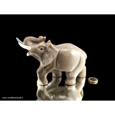 Elefante - bella incisione di selce