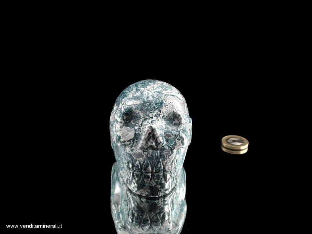 Teschio di cristallo in albero agata