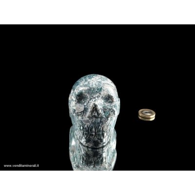 Teschio di cristallo in albero agata