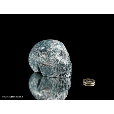 Teschio di cristallo in albero agata