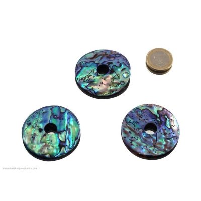 Ciambella conchiglia alabone 40 mm