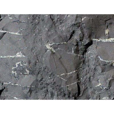 Pietre grezze di shungite - 1 kg