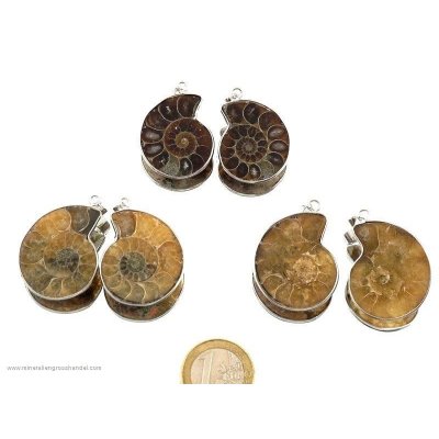 Orecchini di Ammonite