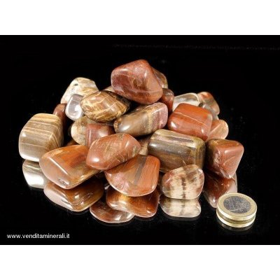 Legno pietrificato - 0,5 kg