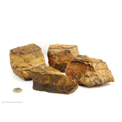 Gemma a occhio di tigre - 1 kg