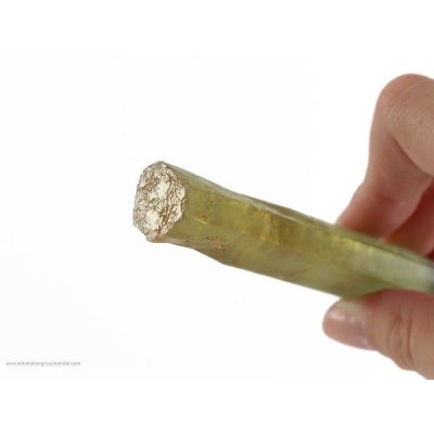 Heliodoro Madagascar