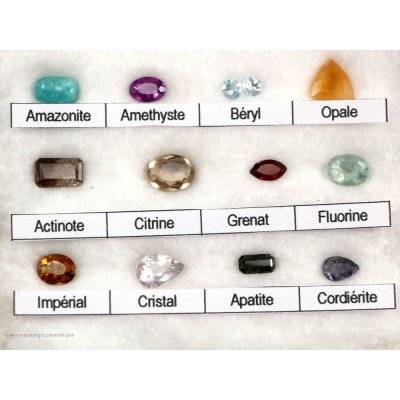 12 pezzi di collezione di pietre preziose