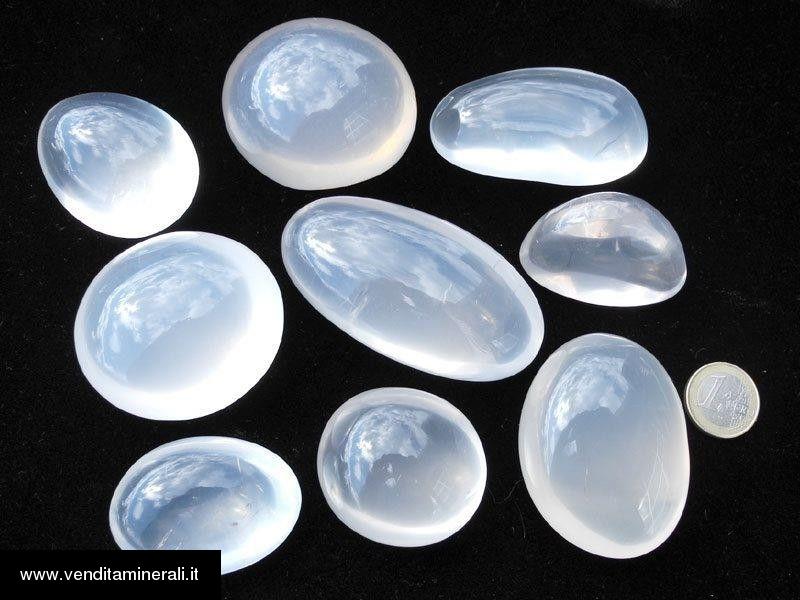 Girasol Pebbles / XL - 0,5 kg