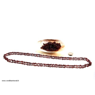 Lunga catenina di radice in melograno